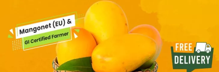 alphonso mango pulp buy online