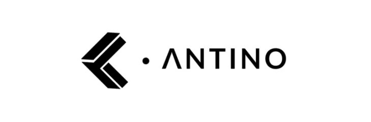 Antino Labs Pvt Ltd. web design company