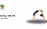 Chakra Asana